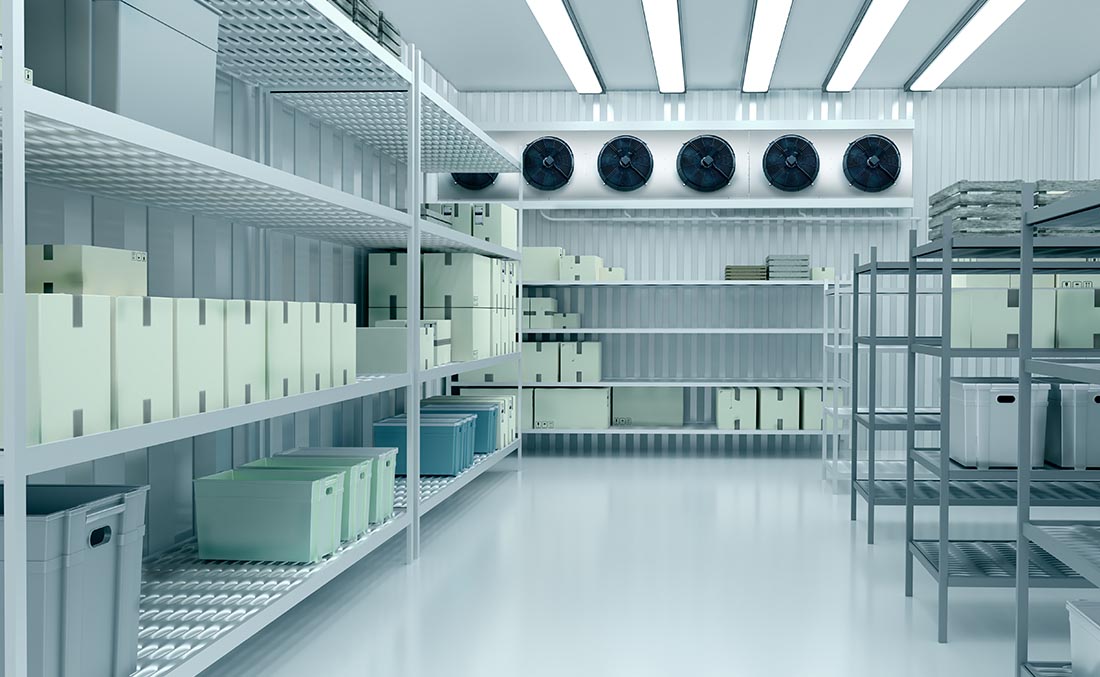 Custom Cold Room Solutions: Why Off-the-Shelf Doesn’t Work for Most NZ Businesses