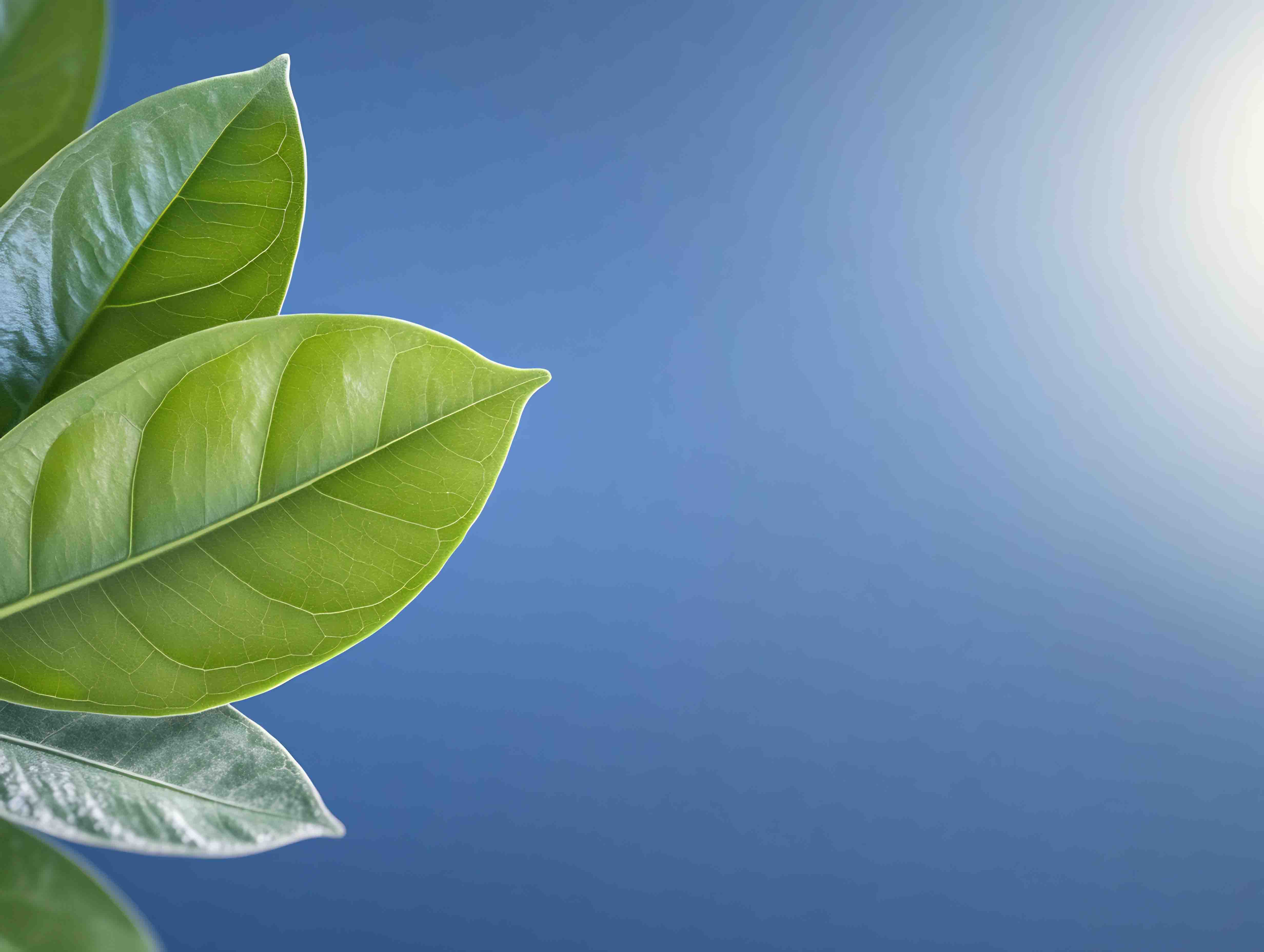 Committed to a Greener Tomorrow